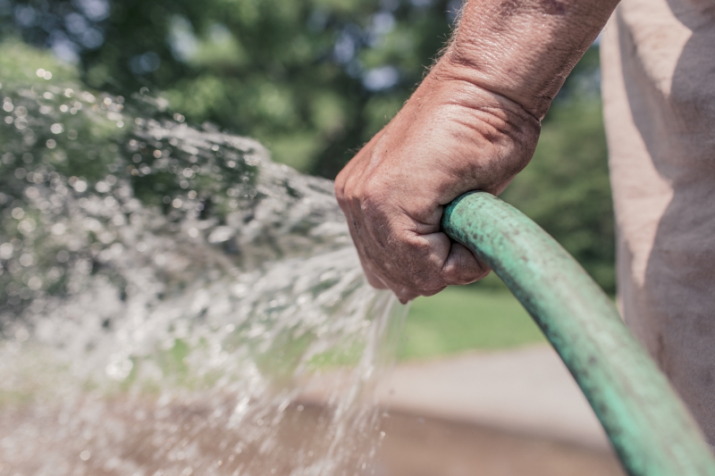 jardinerie-SEILLANS-min_garden-hose-413684